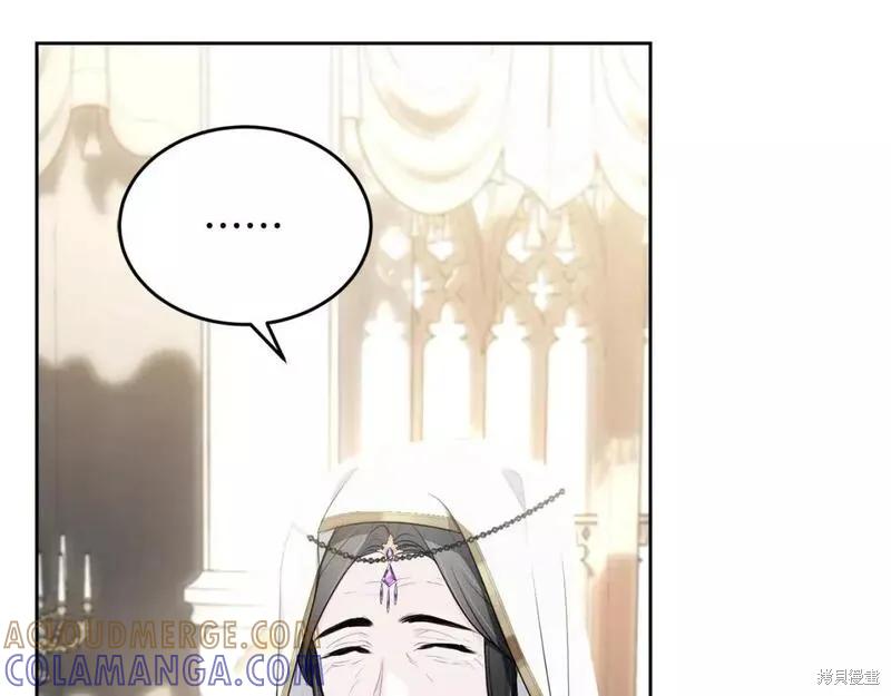 《明明是冷美人小姐却变成了忠犬大少爷》第116话 第13页