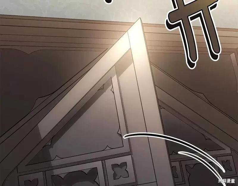 《明明是冷美人小姐却变成了忠犬大少爷》第116话 第31页