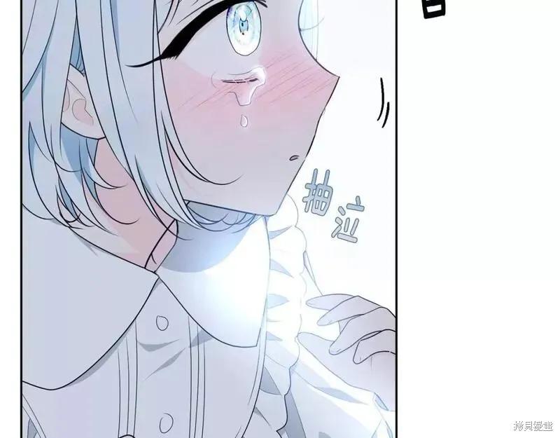 《明明是冷美人小姐却变成了忠犬大少爷》第116话 第135页