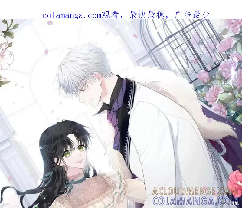 《明明是冷美人小姐却变成了忠犬大少爷》第117话 第1页