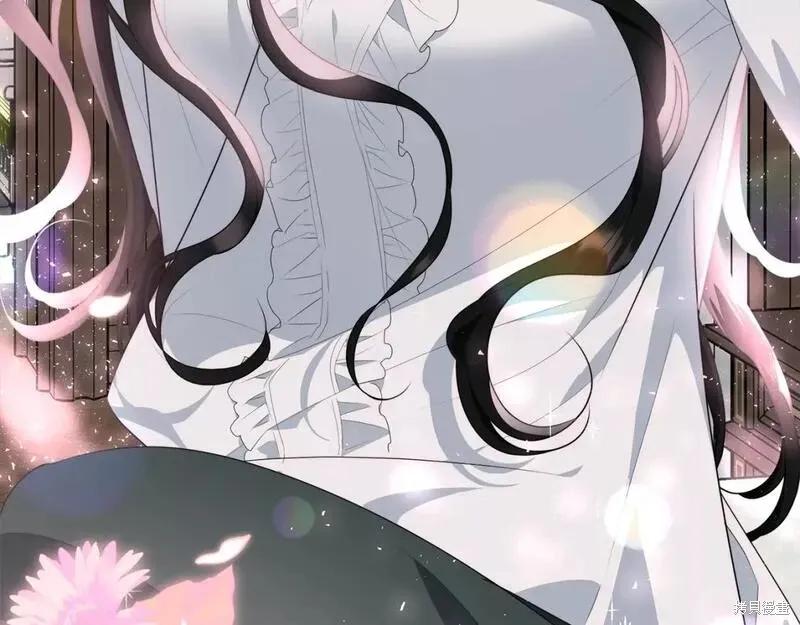 《明明是冷美人小姐却变成了忠犬大少爷》第117话 第138页