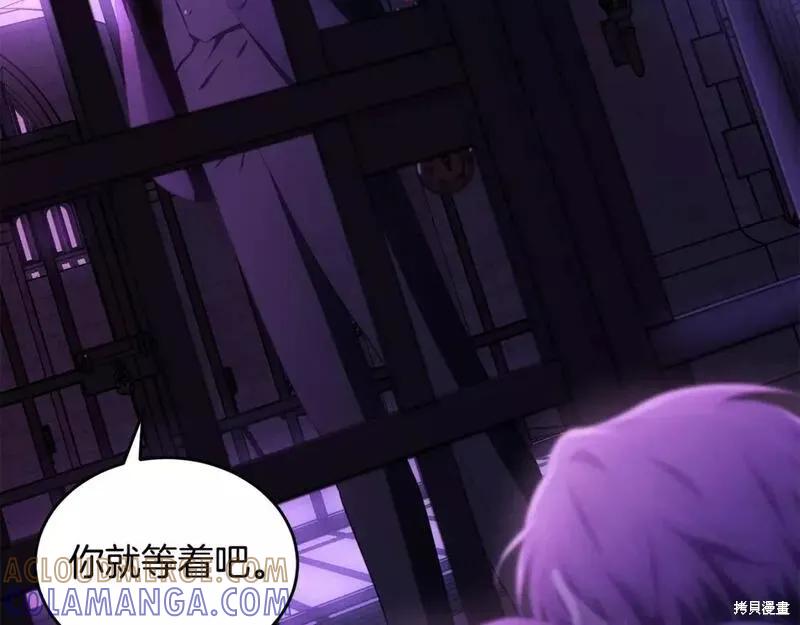 《明明是冷美人小姐却变成了忠犬大少爷》第117话 第209页