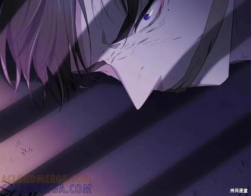 《明明是冷美人小姐却变成了忠犬大少爷》第117话 第177页