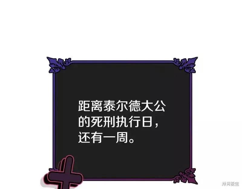 《明明是冷美人小姐却变成了忠犬大少爷》第117话 第172页