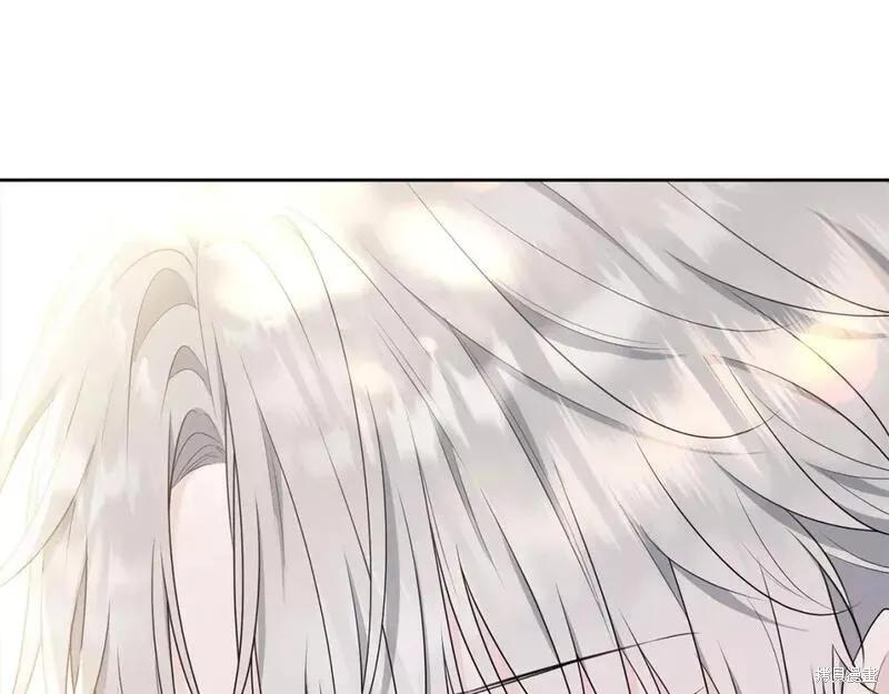 《明明是冷美人小姐却变成了忠犬大少爷》第117话 第162页