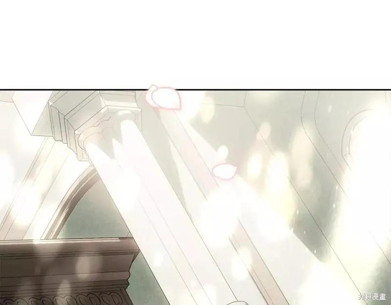 《明明是冷美人小姐却变成了忠犬大少爷》第117话 第144页