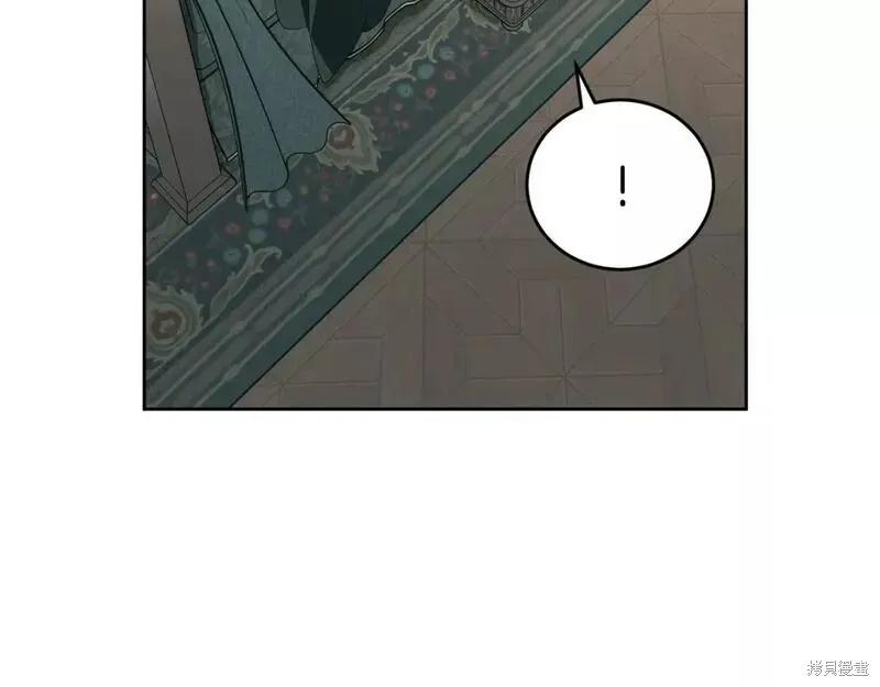 《明明是冷美人小姐却变成了忠犬大少爷》第117话 第63页
