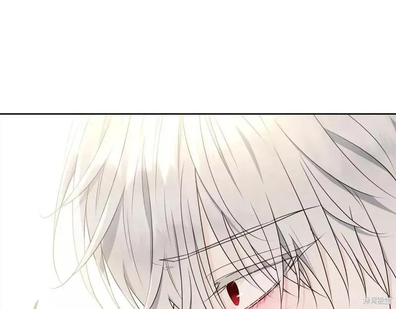 《明明是冷美人小姐却变成了忠犬大少爷》第117话 第132页