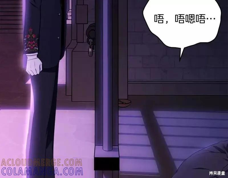 《明明是冷美人小姐却变成了忠犬大少爷》第117话 第181页