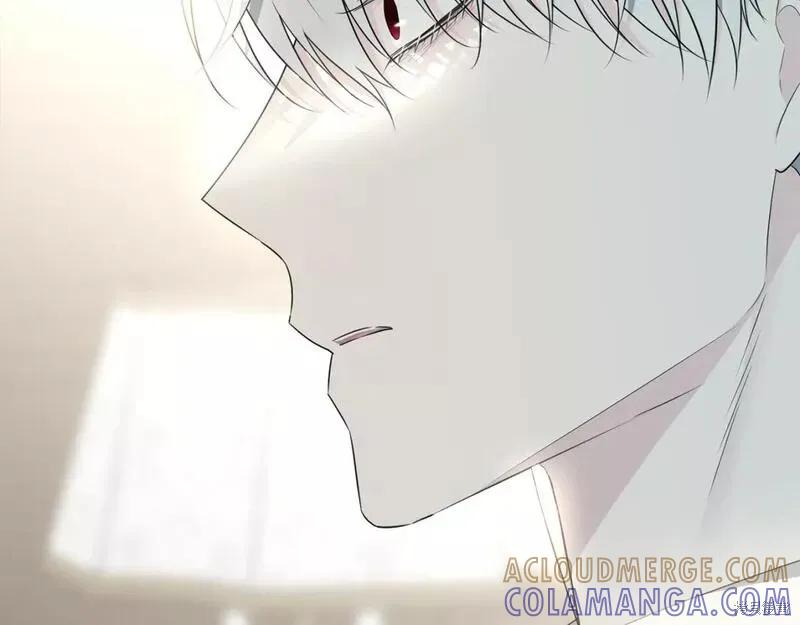 《明明是冷美人小姐却变成了忠犬大少爷》第117话 第73页