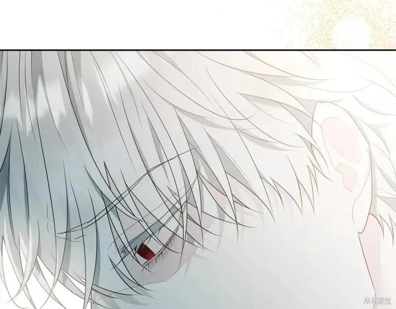 《明明是冷美人小姐却变成了忠犬大少爷》第117话 第76页