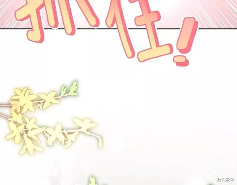 《明明是冷美人小姐却变成了忠犬大少爷》第117话 第66页