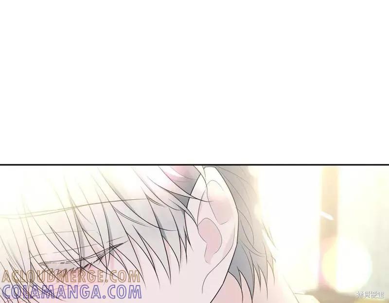 《明明是冷美人小姐却变成了忠犬大少爷》第117话 第165页