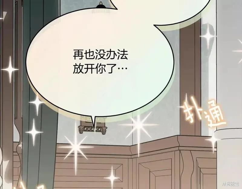 《明明是冷美人小姐却变成了忠犬大少爷》第117话 第156页