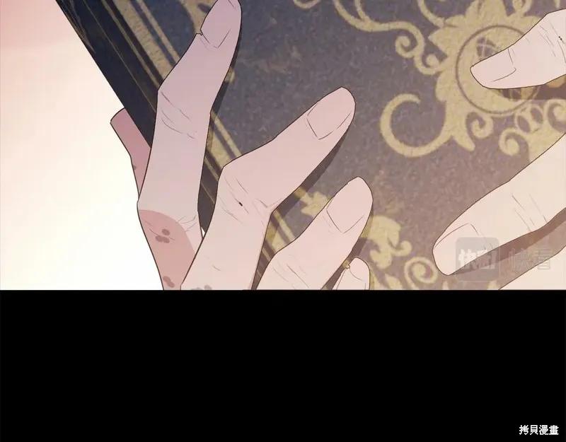 《明明是冷美人小姐却变成了忠犬大少爷》第97话 第227页