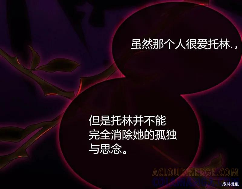 《明明是冷美人小姐却变成了忠犬大少爷》第97话 第205页