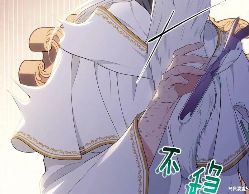 《明明是冷美人小姐却变成了忠犬大少爷》第97话 第138页