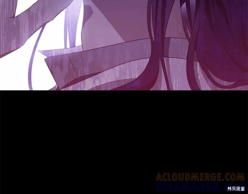 《明明是冷美人小姐却变成了忠犬大少爷》第97话 第257页