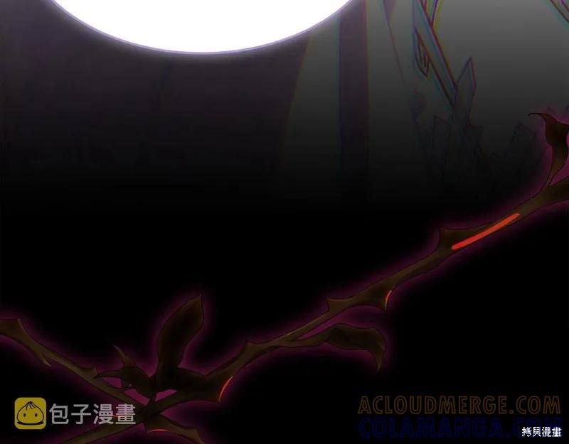 《明明是冷美人小姐却变成了忠犬大少爷》第97话 第201页