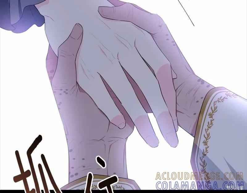 《明明是冷美人小姐却变成了忠犬大少爷》第97话 第233页