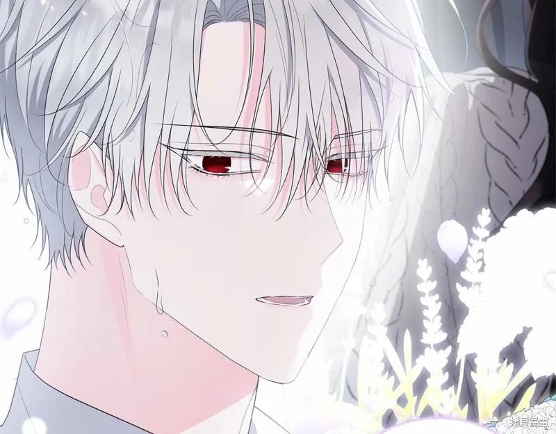 《明明是冷美人小姐却变成了忠犬大少爷》第98话 第44页