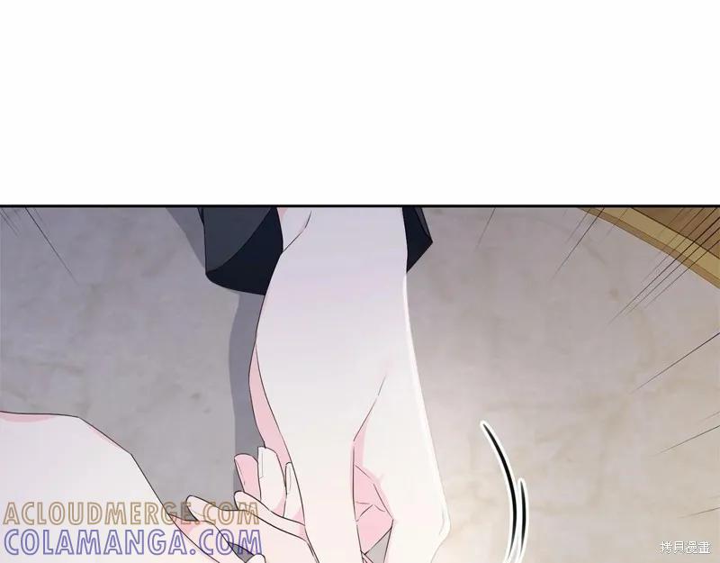 《明明是冷美人小姐却变成了忠犬大少爷》第98话 第217页