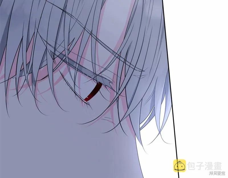 《明明是冷美人小姐却变成了忠犬大少爷》第98话 第191页