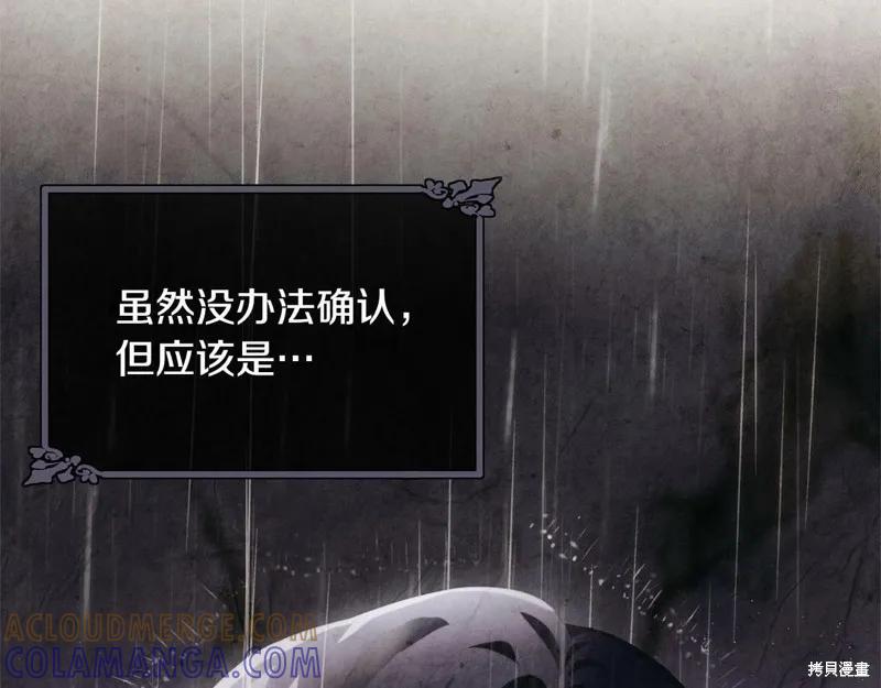《明明是冷美人小姐却变成了忠犬大少爷》第98话 第9页