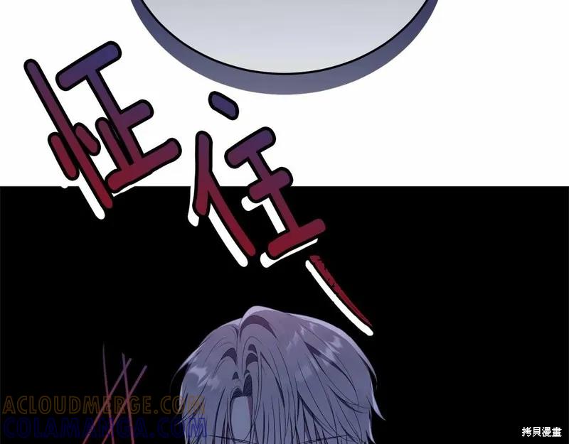 《明明是冷美人小姐却变成了忠犬大少爷》第98话 第221页