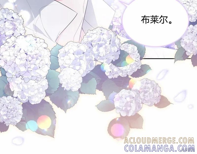 《明明是冷美人小姐却变成了忠犬大少爷》第98话 第45页