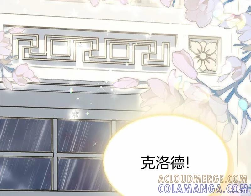《明明是冷美人小姐却变成了忠犬大少爷》第98话 第41页