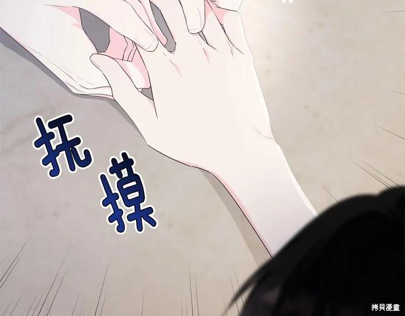 《明明是冷美人小姐却变成了忠犬大少爷》第98话 第218页