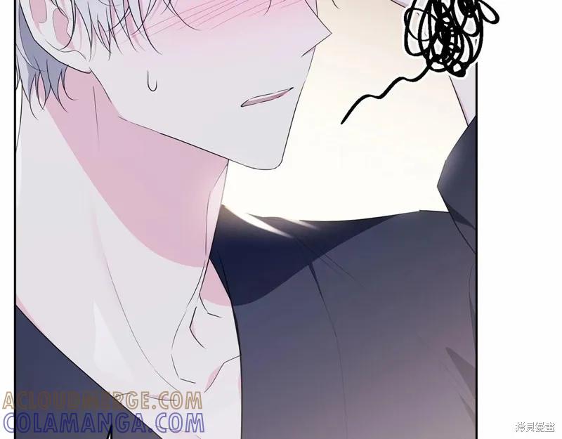 《明明是冷美人小姐却变成了忠犬大少爷》第99话 第17页