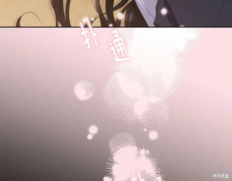 《明明是冷美人小姐却变成了忠犬大少爷》第99话 第227页