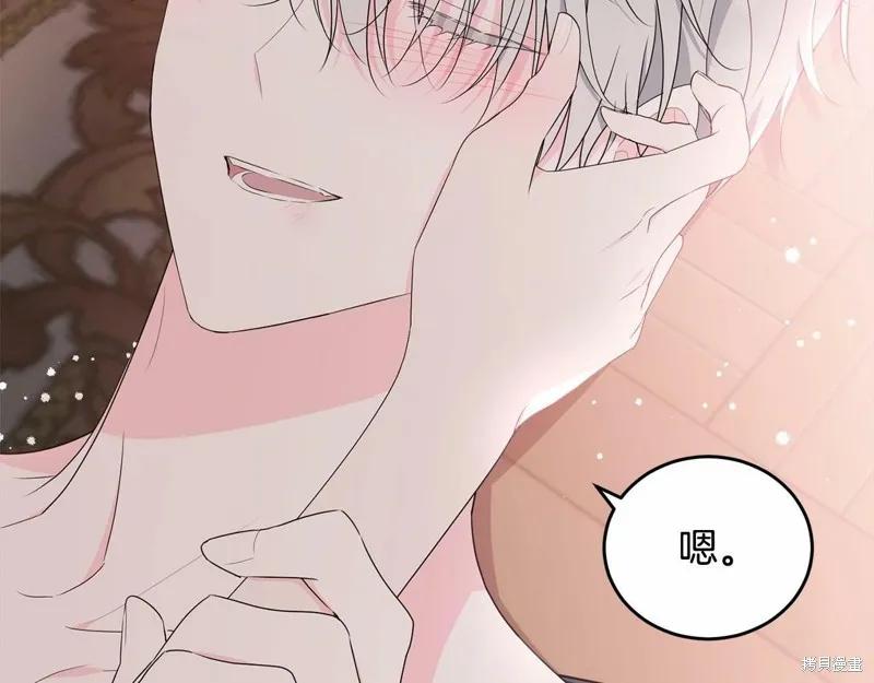 《明明是冷美人小姐却变成了忠犬大少爷》第99话 第206页