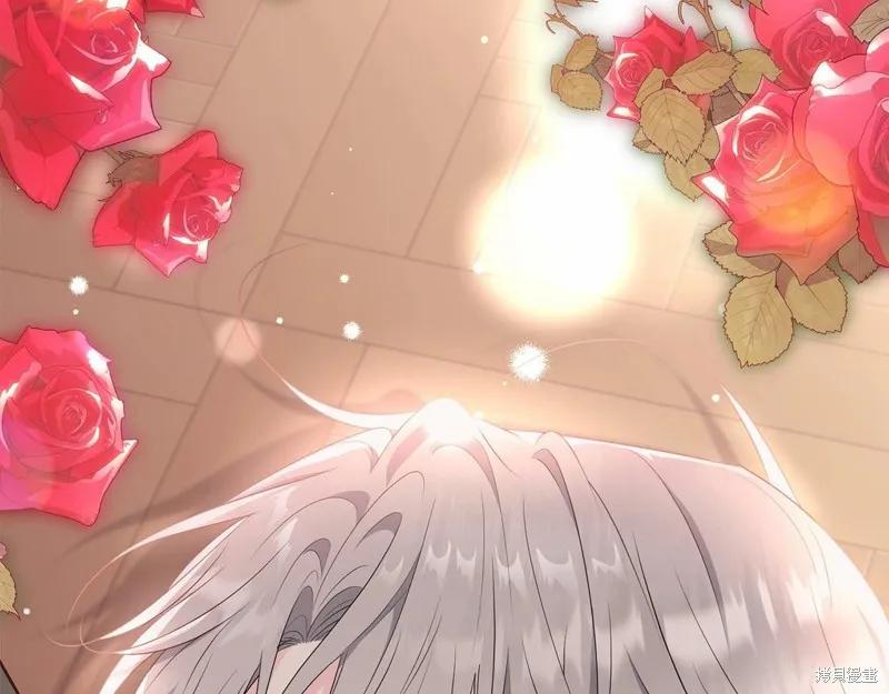 《明明是冷美人小姐却变成了忠犬大少爷》第99话 第166页