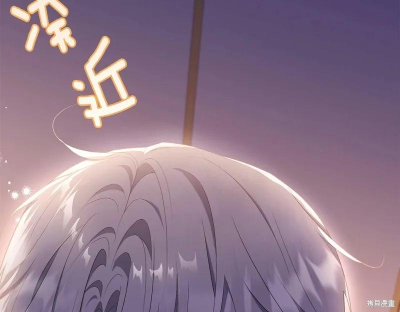 《明明是冷美人小姐却变成了忠犬大少爷》第99话 第222页
