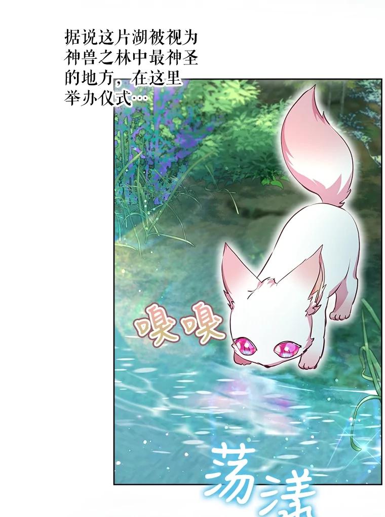 重生为神兽宝宝 - 30.控制道具 - 第55张图