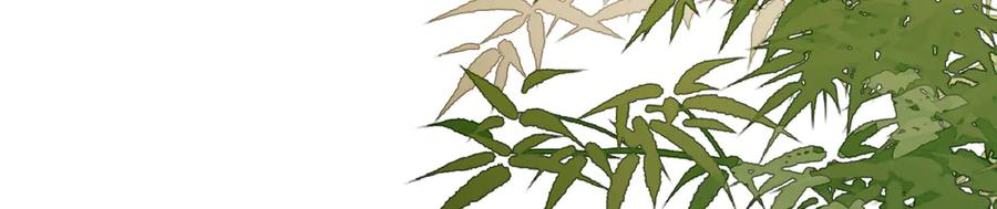 意中人 第三十八话 人之一生 知己难得 第43页