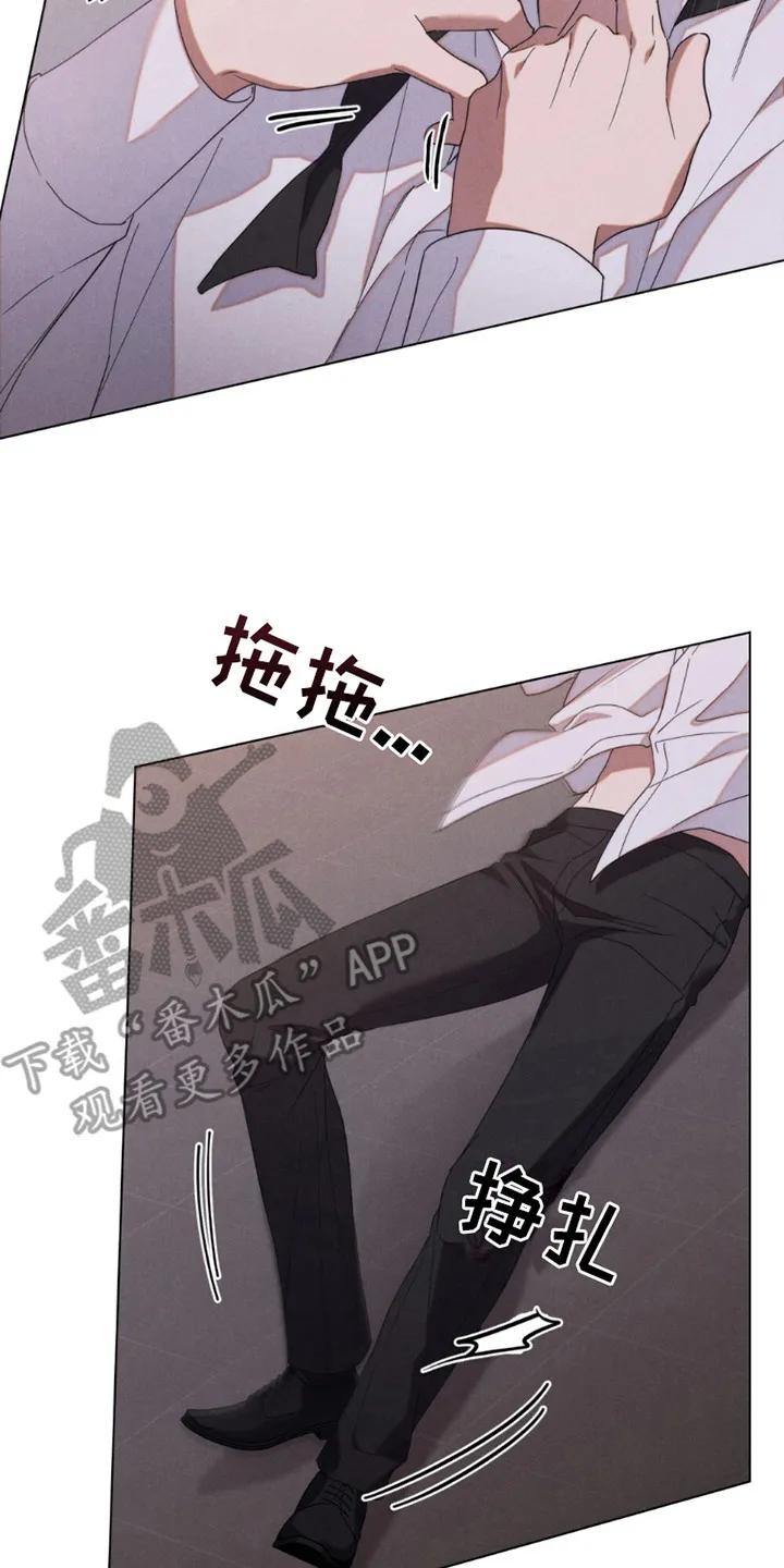 《卧底大佬》第1章：对视 第2页