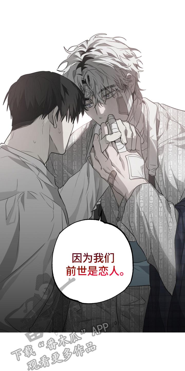 《前世梦魇》第13章：前世恋人 第20页
