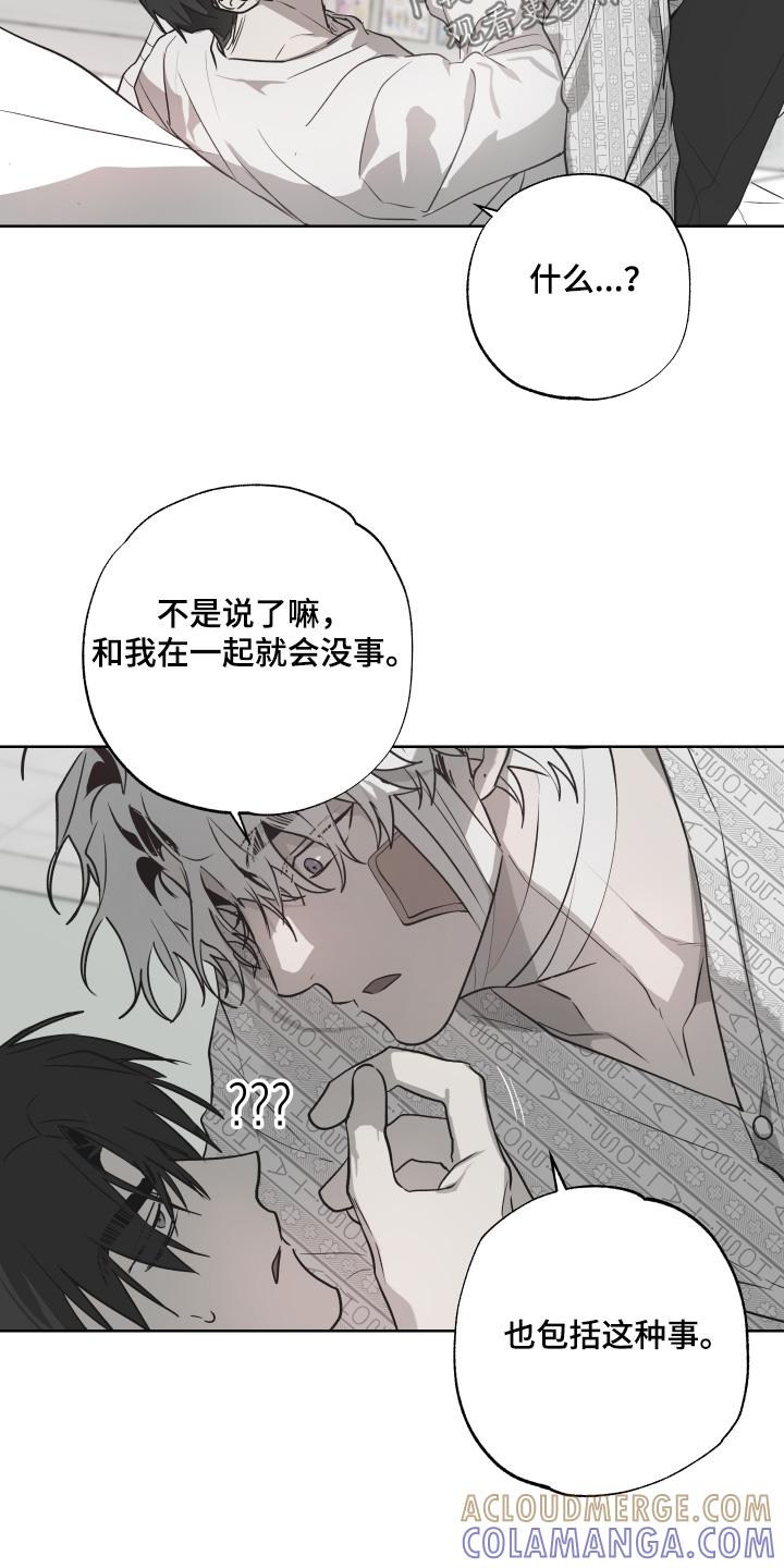 《前世梦魇》第15章：你这疯子 第11页