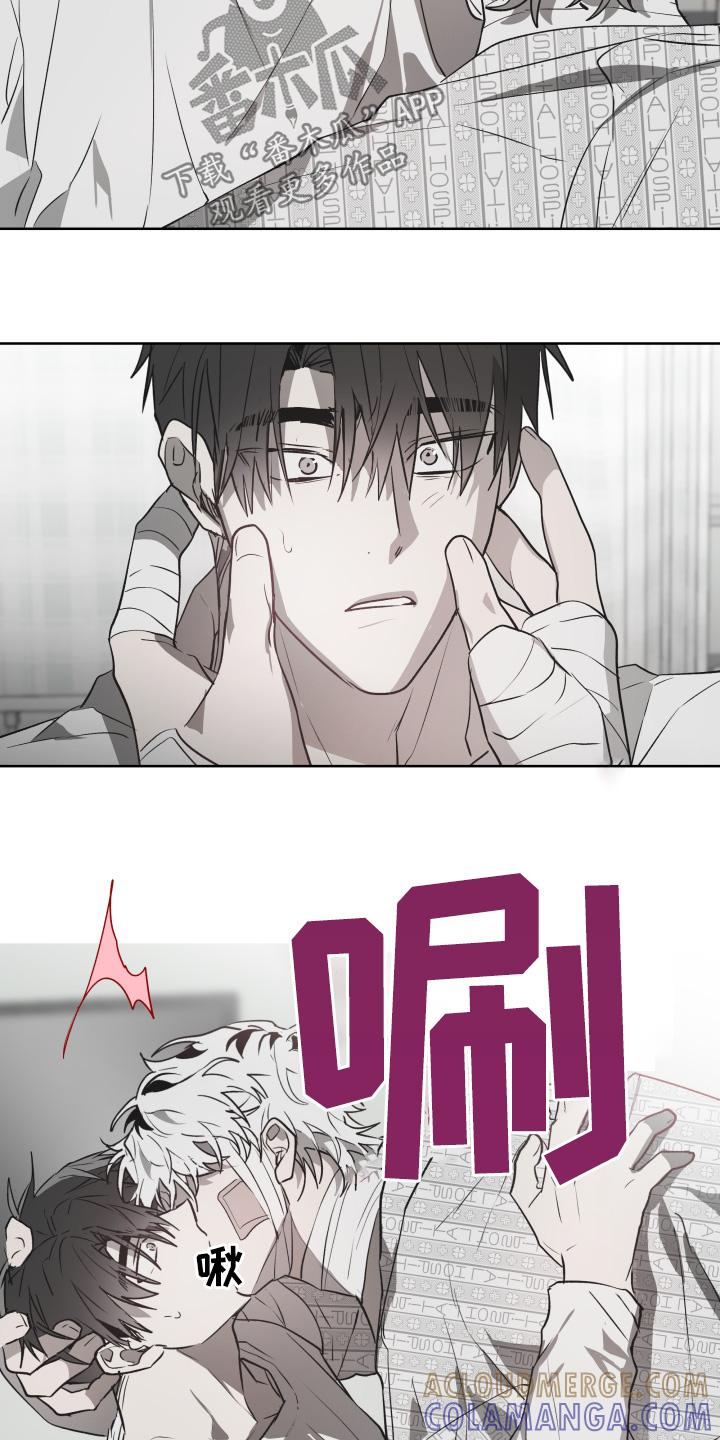 《前世梦魇》第15章：你这疯子 第5页