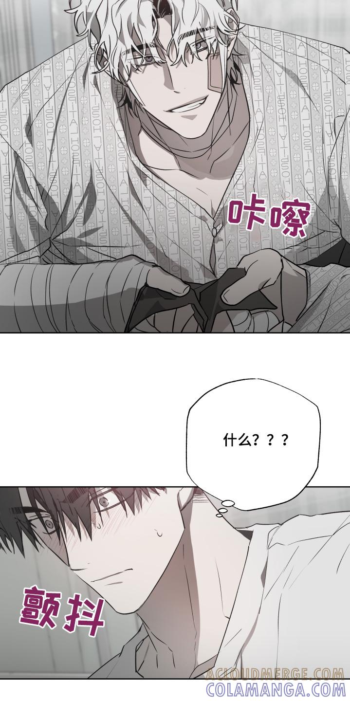 《前世梦魇》第15章：你这疯子 第17页