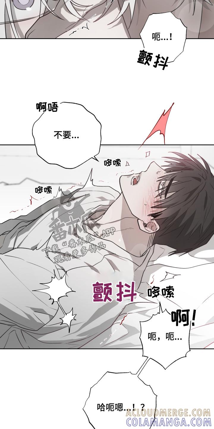 《前世梦魇》第16章：只喜欢你 第2页