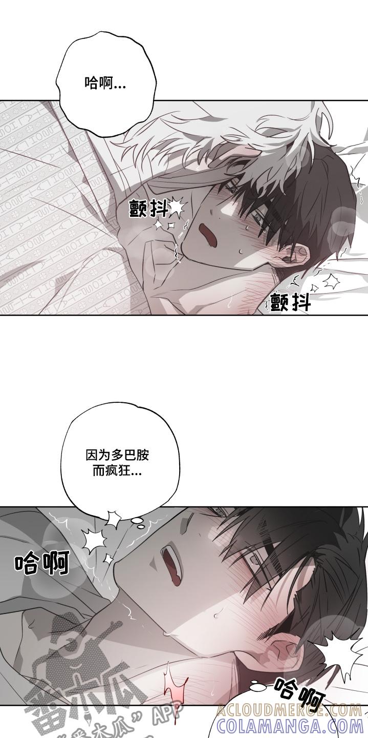 《前世梦魇》第17章：慢慢来 第7页