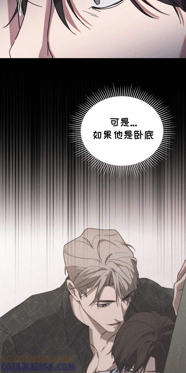 《卧底大佬》第17章：卧底 第15页
