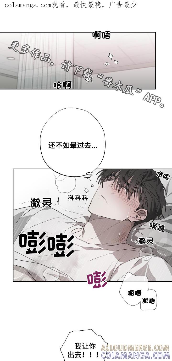《前世梦魇》第18章：舒坦 第1页