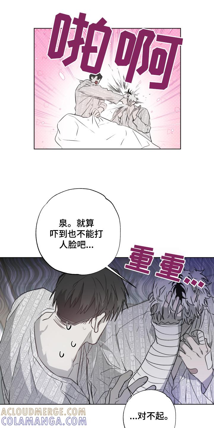 《前世梦魇》第18章：舒坦 第13页