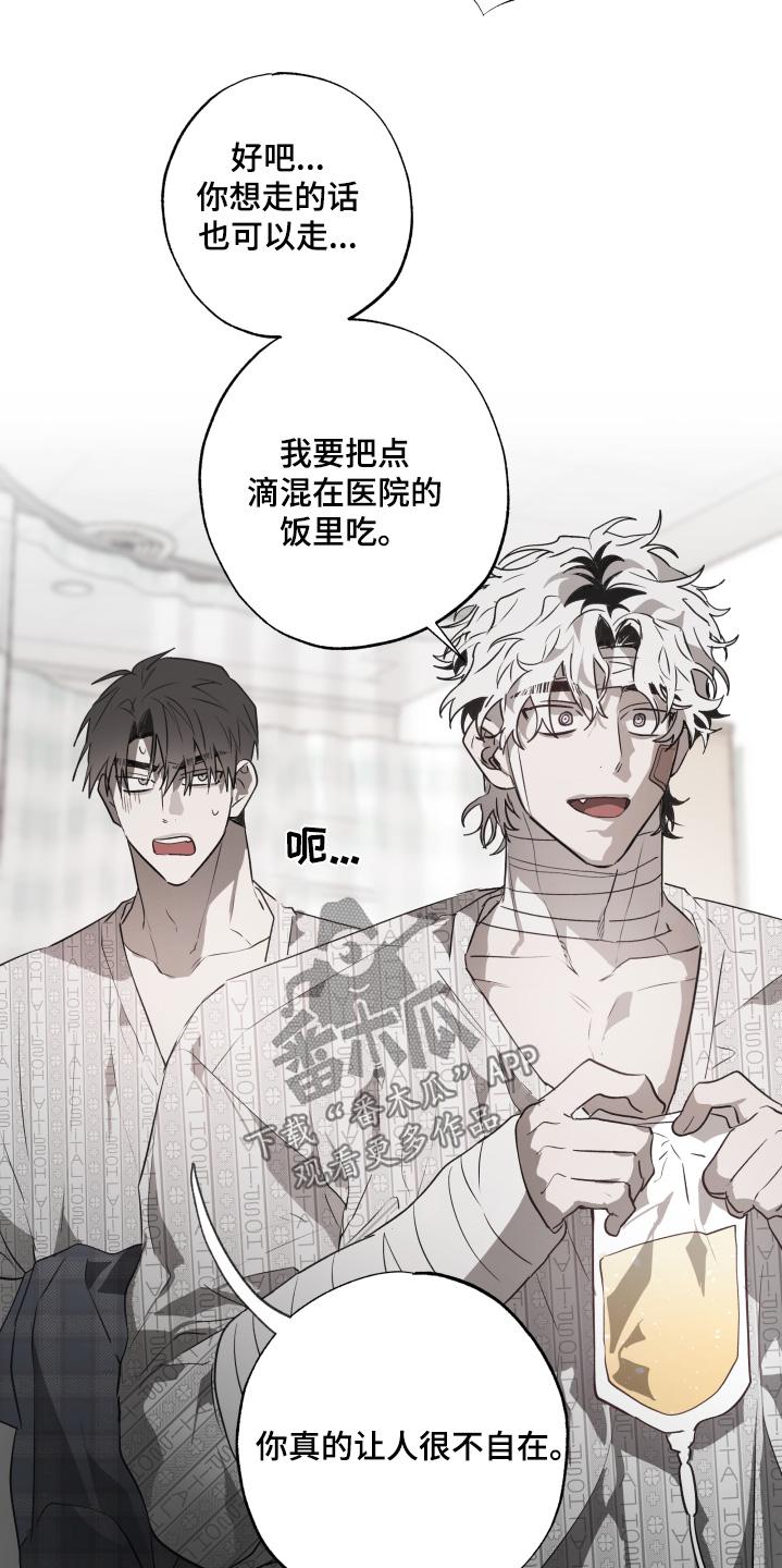 《前世梦魇》第19章：有人来看我 第14页